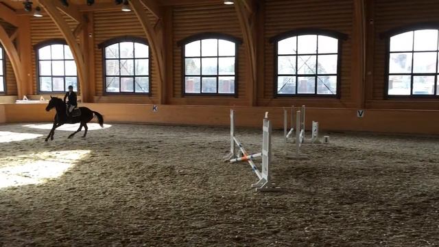 Габана 2012г, КСК Пегас 80см, первый старт, всадник Сергей Петров смотреть онлайн