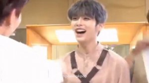 Lee know moments I would show my cats