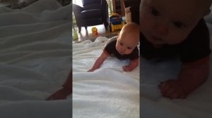 Baby Gibson Trying To Crawl