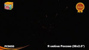 РС9650 Я люблю Россию