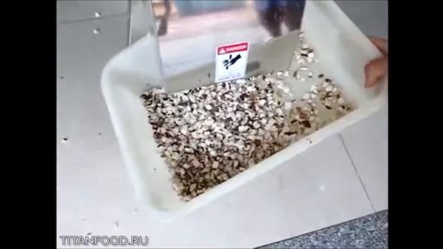 Нарезка грибов кубиком Titan CD-800 смотреть онлайн