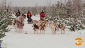 Зимние забавы. Доброе утро. Суббота. Фрагмент выпуска от 29.01.2022