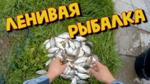 Ловля рыбы в пруду.Поплавок и проверенная ловушка - кормушка с сетью