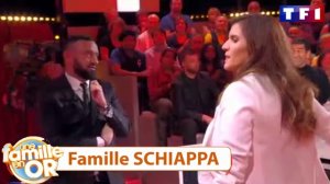 Une famille en carton (Schippa-Hanouna)