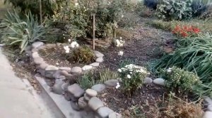 Переезд в Краснодар Лето в Октябре +28 Осень в Краснодаре октябрь 2019