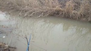 вновь хотел половить карасика , а поймал .... ))).mp4