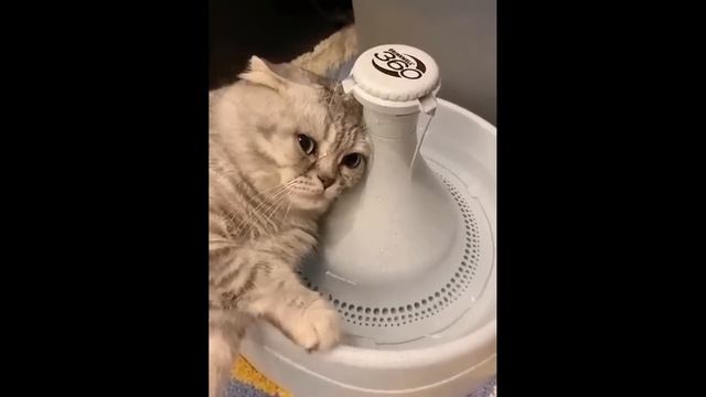 НЕМНОГО ГРУСТИ ? смотреть онлайн