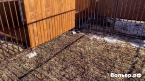 Вольер для двух собак. Time-Lapse.