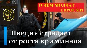 Взрыв преступности в тихой Швеции. Скандинавская Сицилия?