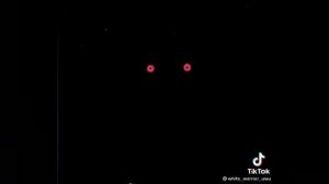 Утерянные файлы коты воители из тт. (1 часть)