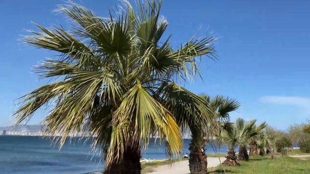район Балчова - самый красивый район Измира | Balçova, İzmir | Vlog