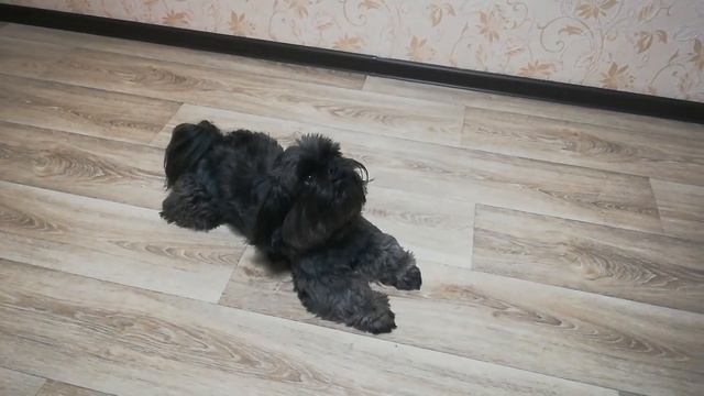 Филимон говорит мама смотреть онлайн