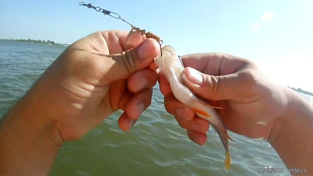 Осенняя рыбалка на спиннинг в Астрахани стоя по пояс в воде. смотреть онлайн