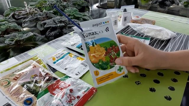 Моя аптечка для фиалок. Какие препараты нужно обязательно иметь в своей аптечке цветовода. смотреть онлайн