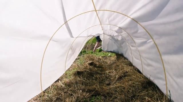 БЮДЖЕТНЫЙ ПАРНИК ТЕПЛИЦА СВОИМИ РУКАМИ смотреть онлайн