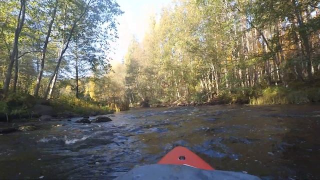 река Волчья (Ленобласть) на SUP, 2 октября 2021 смотреть онлайн