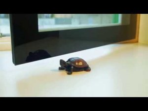 Дизайнерские окна Home Couture. Линейка Glass Vegas.