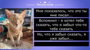 Забавная переписка кота и его хозяина 38 СЕРИЯ "ЗабЫвчивый котЬ" Ржака до слез