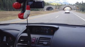 Субару форестер 2014 система ЗРЕНИЕ.Subaru Forester 2014 system EYE SIGHT.