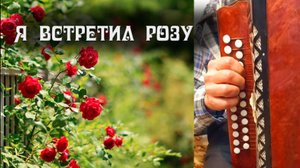 Я встретил розу ... на гармони