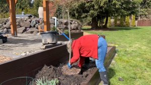 Planting a New Perennial Bed 🌿💐[TheHappyPlaceGarden]