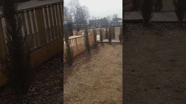 Городской пляж)))Солнечногорск