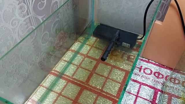 Чистим аквариум от диатомовых водорослей, фильтрация у мальков.
