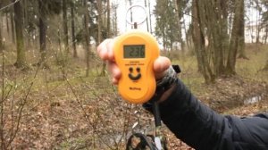 Тестируем луки: Hoyt Charger и PSE Drive LT (Forest-home.ru)
