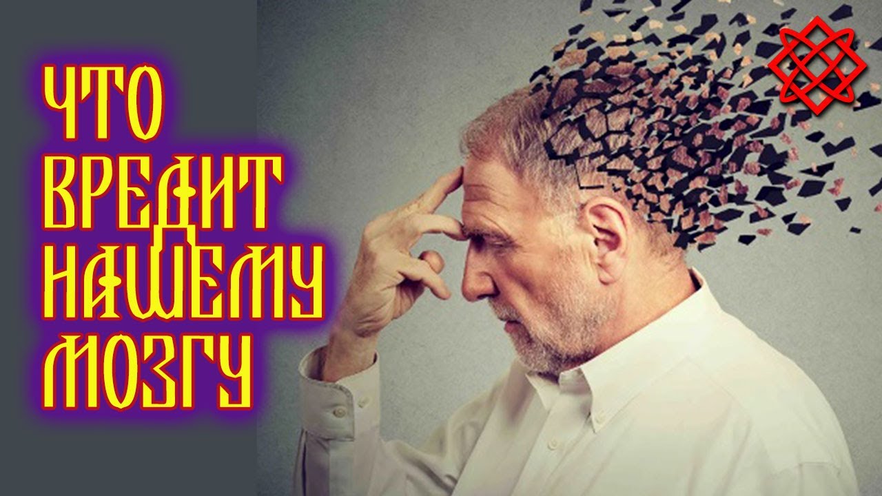 Brain 9