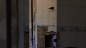 Паровое отопление дровами плюс газ