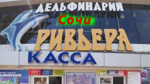 Отдых в Сочи сегодня/ Парк Ривьера/ Цены в Дельфинарий