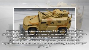 Для ВДВ создали десантируемый самоходный миномет «Дрок»