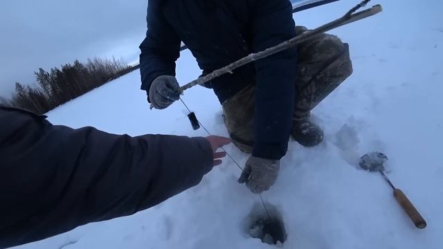 Уехали Далеко в Тайгу.Живем Пять Дней в Лесной Избе.Ловим Рыбу на Таёжном Озере. смотреть онлайн