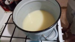 Кошерный сыр "Моцарелла" в домашних условиях... Эксперимент!!!