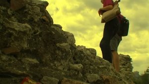 Звери. Дело не в этом.