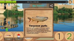 Реальная рыбалка. Река Нил. Нильский Окунь.