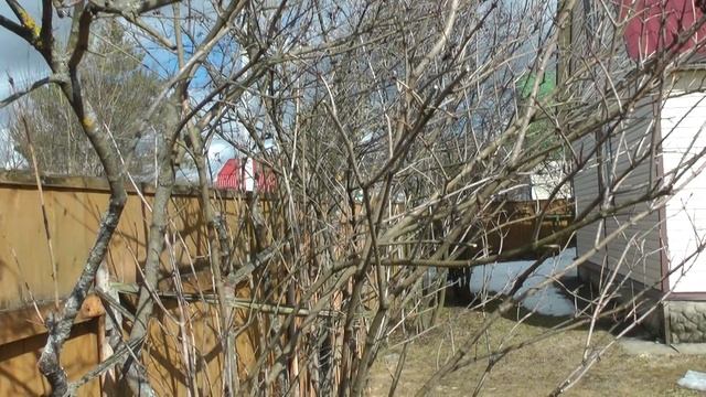 Мы продаём, а вы можете купить ухоженную дачу в Киржачском районе. смотреть онлайн