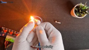 2Pcs Canbus 12V BA9S T4W Led Bulbs Car Lights Lamp White Red Yellow Blue - Aliexpress