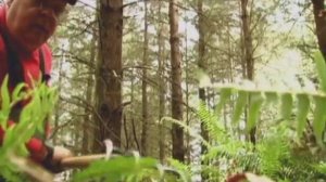 4 - Энциклопедия кладоискателя, трюфели