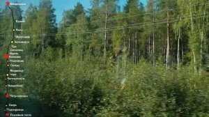 Карелия из окна поезда. Беломорск-Сегежа, стук колес. Russia from train. Karelia Nature. Train soun