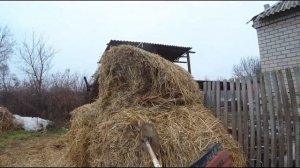 Сельские будни. Как измельчить тюки сена на корм животным.