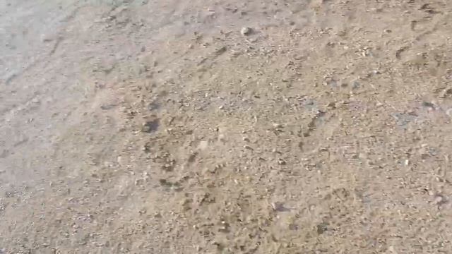 Движемся дальше. Пробежка на часовню. Дальнобой. смотреть онлайн