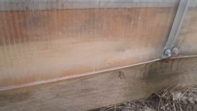 Поилка для пчел смотреть онлайн