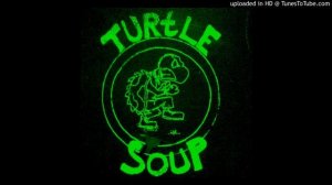 Turtle Soup- Ska Fever