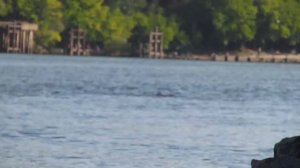 ЧТО делать если нет хищной рыбы?! Рыбалка на бычка на лайтовый спиннинг - остров ХОРТИЦА!