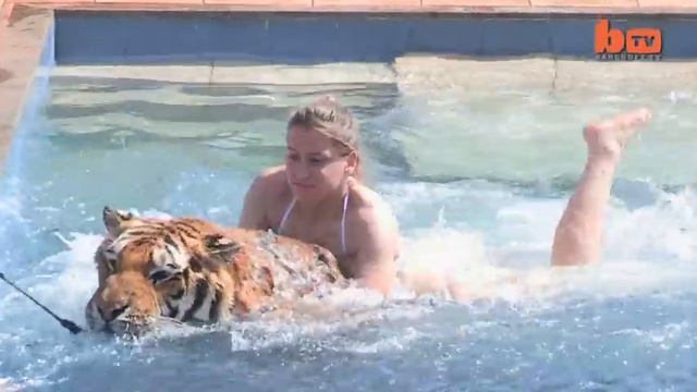 Living With Tigers: Family Share Home With Pet Tigers смотреть онлайн
