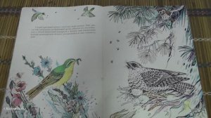 Виталий Бианки. У кого дом лучше всех?