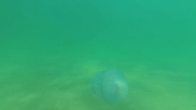 Анапа. Благовещенская. Отдых. Юг. Черное море.