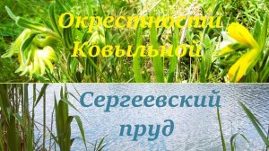 Окрестности Ковыльной. Сергеевский пруд