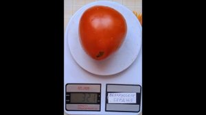 Томат Белорусское сердце